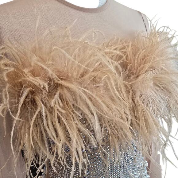 NWT Mesh Embellished Feather Bodycon MINI Dress Sz small - Picture 3 of 8